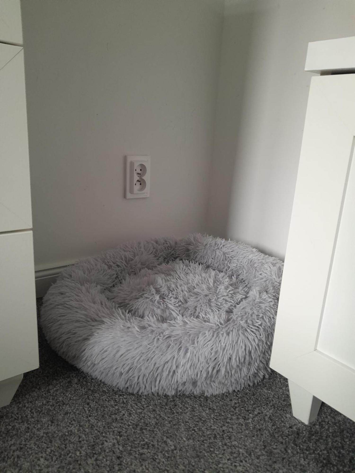 Apartament "Konie I Anioly" โบกุสชุฟ-กอร์เซ ภายนอก รูปภาพ