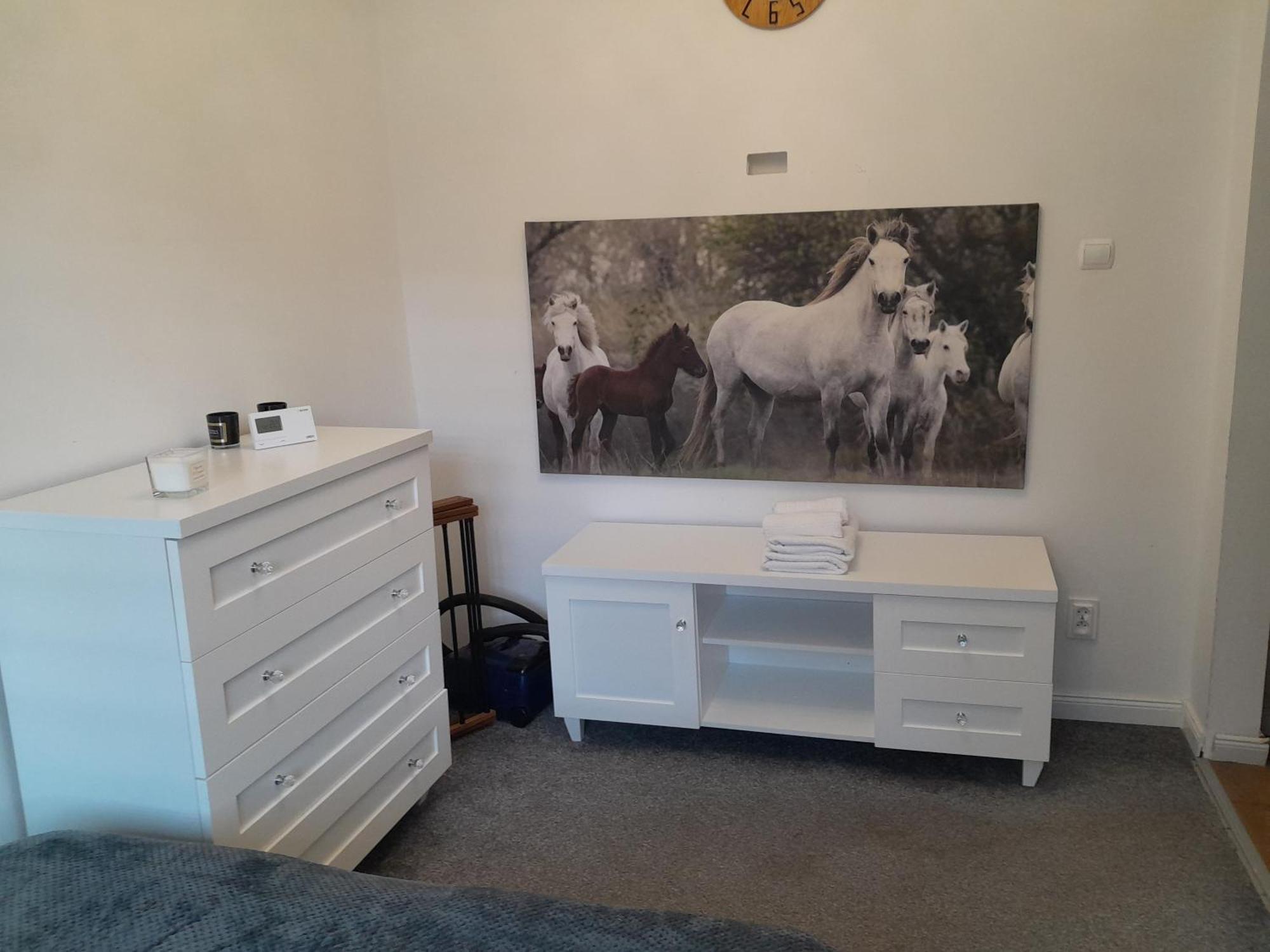 Apartament "Konie I Anioly" โบกุสชุฟ-กอร์เซ ภายนอก รูปภาพ